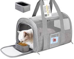SECLATO Cat, Dog, Pet Carrier