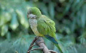 images?q=tbn:ANd9GcTF69N0XJO6YNXia1HML0A