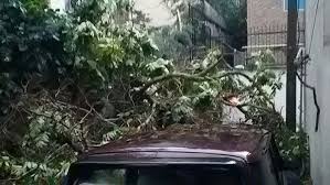 نتیجه تصویری برای طوفان البرز