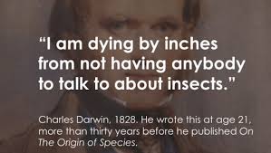 Quotes About Insects. QuotesGram via Relatably.com