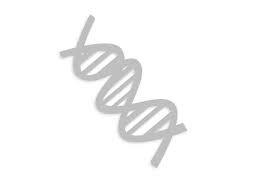 Résultat de recherche d'images pour "white dna"