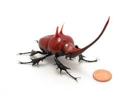 Résultat de recherche d'images pour "rhino beetle"