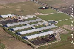 Image result for cafo