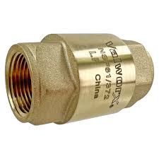 1" Brass Spring Check Valve, NPT | Valworx