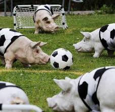 Résultat de recherche d'images pour "ballon de foot drole"