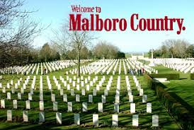 Image result for culture jamming