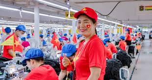 baohaiphongplus.vn - News update