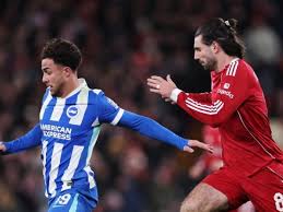 brighton đấu với liverpool 아이콘