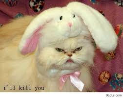 funny quotes, funny animals, funny easter, funny conversations ... via Relatably.com