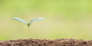 寓話に込められた希望──ヤマザキマリさんと読む『だれのせい？』【NHK100分de名著】