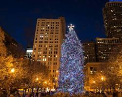 Image of Chicago Christmas tree