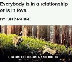 Everybody is in a relationship or in love. I&#39;m just here like: I ... via Relatably.com