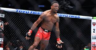 MMA Fighting - News update