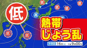 TBS NEWS DIG - News update