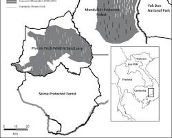 Lush forest of Mondulkiri Protected Forest, Cambodia