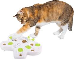 cat playing with a puzzle feeder toyの画像