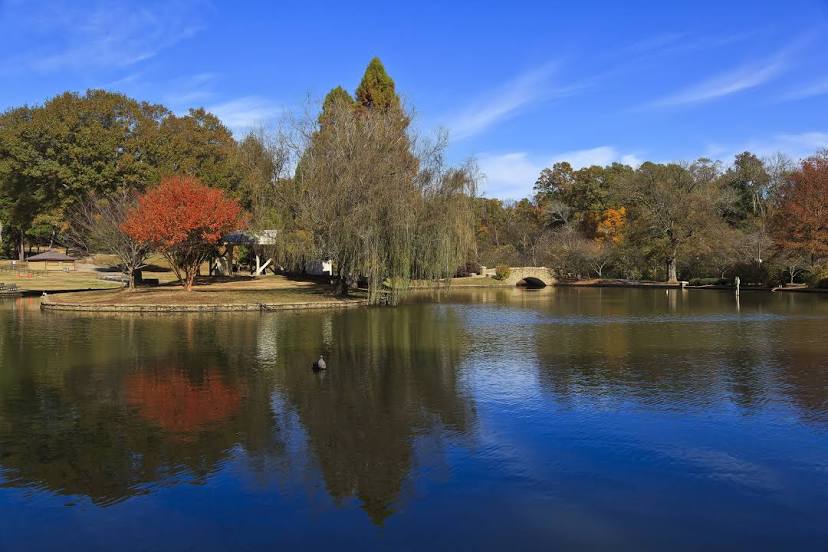 Mold inspection and testing Charlotte NC