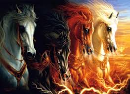 Image result for IRAN HORSES