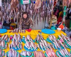 Immagine di Mercato di Jagalchi, Pusan