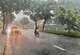 Báo Kinh tế đô thị - News update