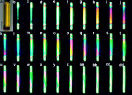 Resultado de imagem para birefringent visual effects