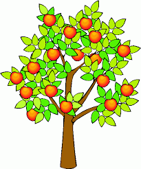 Image result for orange tree clip art