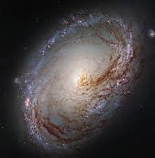 Image result for Messier 63