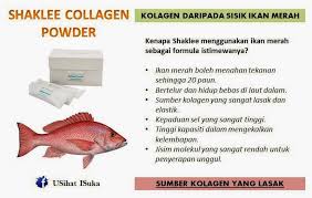 Hasil carian imej untuk collegen powder shaklee