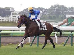 横山武史