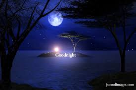 Image result for animated good night gifs