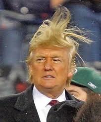Resultado de imagen para donald trump