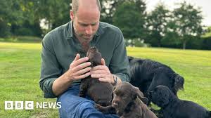 BBC - News update