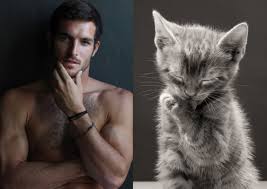 Image result for men and cats tumblr