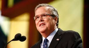 Image result for jeb bush