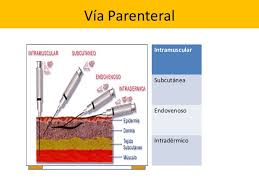 Resultado de imagen para imagenes de vias de administracion de medicamentos