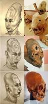 Résultat de recherche d'images pour "elongated skulls"