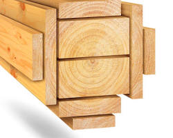 Hình ảnh về Gỗ thông New Zealand