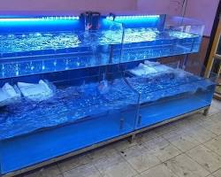  Kính cường lực cho hồ cá biển