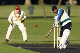 cricket