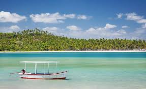 Resultado de imagem para fotos da praia de porto de galinhas sem ninguém