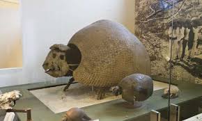 Extinct glyptodonts really were gigantic armadillos, ancient DNA shows - Fossil News - The Fossil Forum