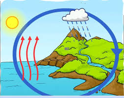 http://www.chimpon.es/2011/01/el-ciclo-del-agua/