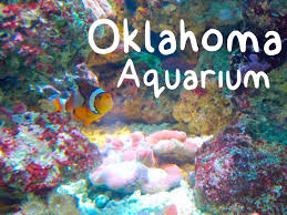 Image result for oklahoma aquarium