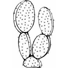 Résultat de recherche d'images pour "cactus coloring pages"