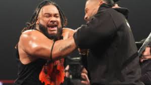 Another WWE Release Confirmed