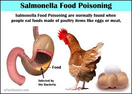 Image result for salmonella symptoms