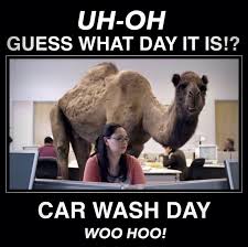 Happy #CarWash Day! | Car Wash Funny | Pinterest | Happy via Relatably.com
