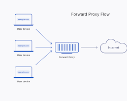 Image of proxy server