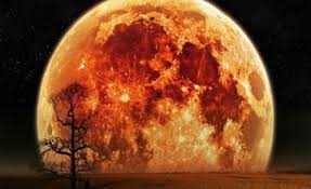 Resultado de imagem para super lua