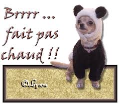 Résultat de recherche d'images pour "gif froid"